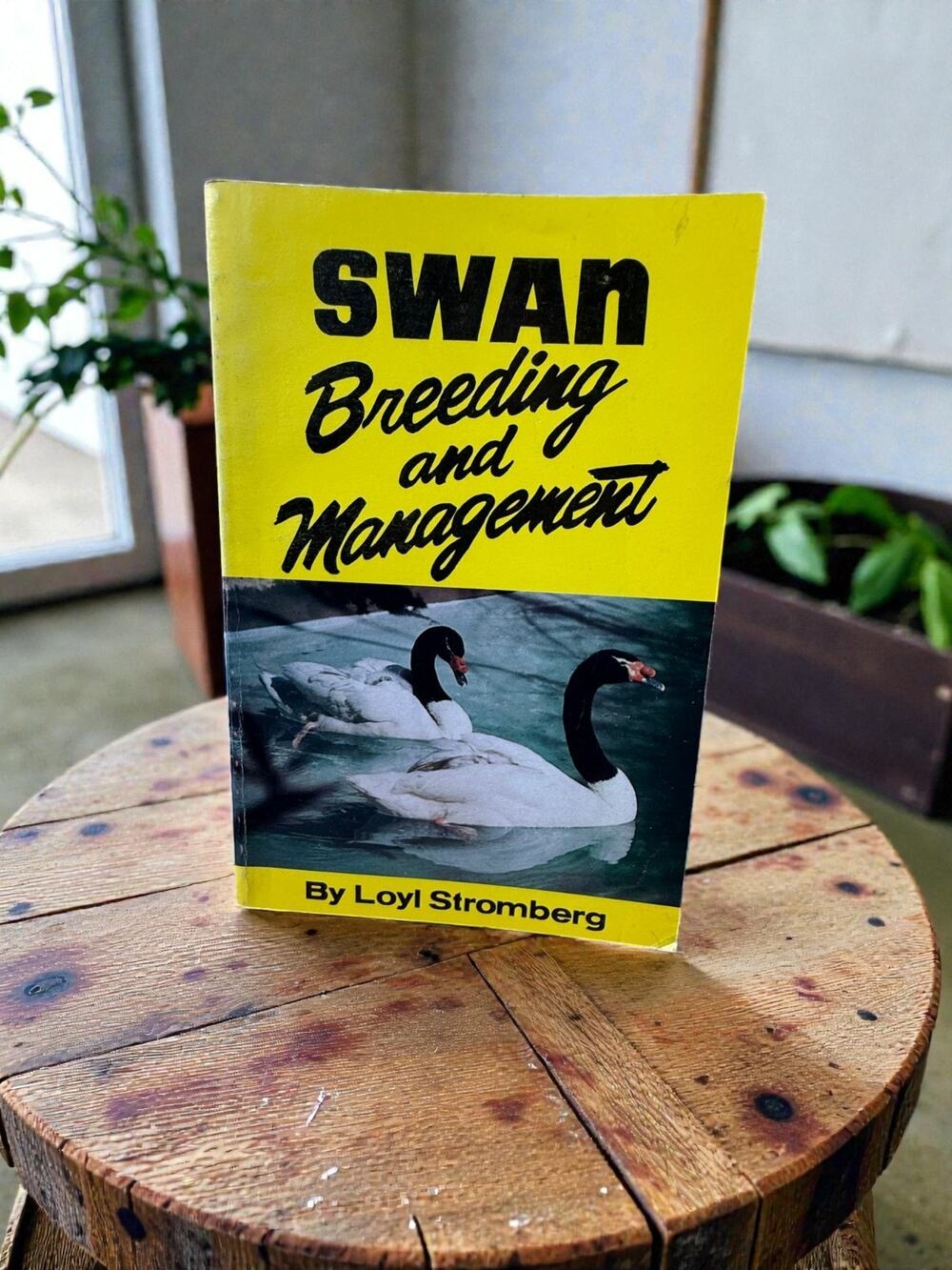 Swan Breeding & Management Loyl Stromberg 1986 Waterfowl Care Guide Book Illustr